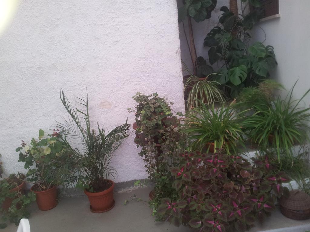 קמפובלו די מדזרה B&B Da Mati מראה חיצוני תמונה